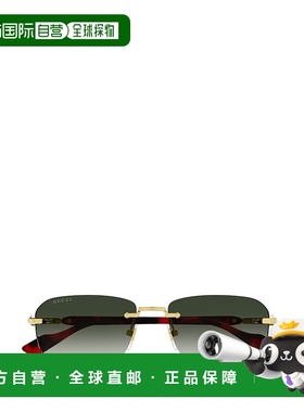 1h可退 香港直邮Gucci 古驰 男士 矩形太阳镜 GG1221S colorful花