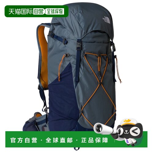 1h可退 欧洲直邮the north face/北面  双肩包背包