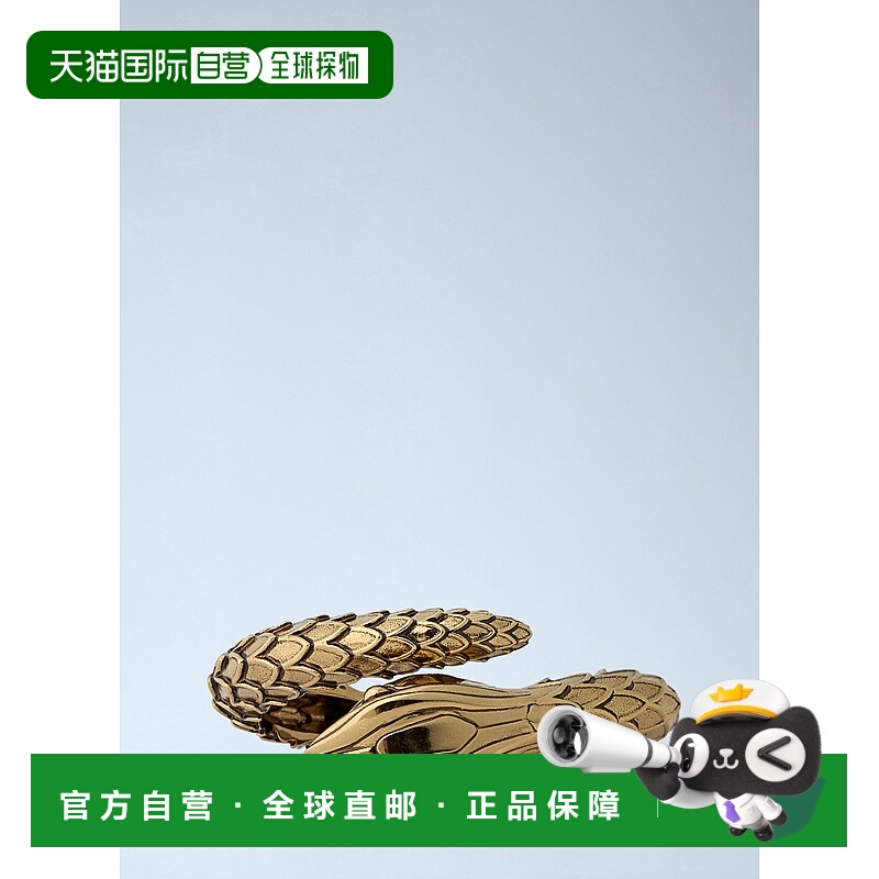 1h可退 香港直邮Chloe 蔻依 女士 蛇形手链 CHC24WFB28CB7手镯