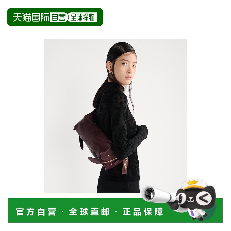 欧洲直邮DIOR (2025) D-Journey 中号复古光滑小牛皮手袋流浪包