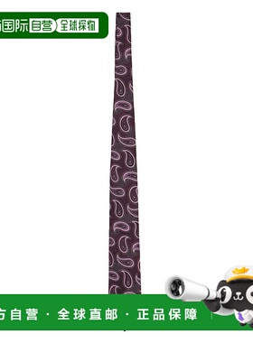 1h可退 香港直邮Etro 艾特罗 男士 佩斯利印花領帶 MASA0001AQ005