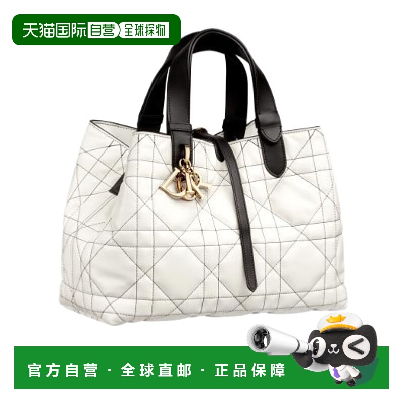 香港直邮Dior Dior Toujours 手提包 M2821OSUV