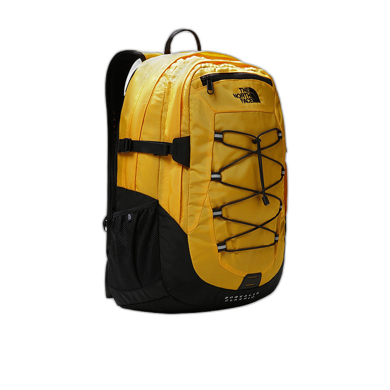 欧洲直邮THE NORTH FACE 男士双肩包NF00CF9C4WP1北面