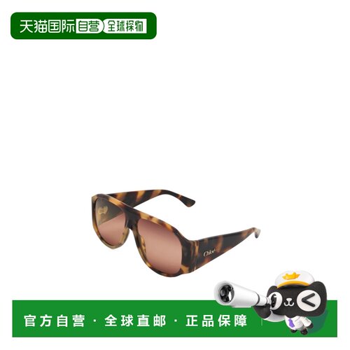 Chloe 全框太阳镜 CH25WEK0347