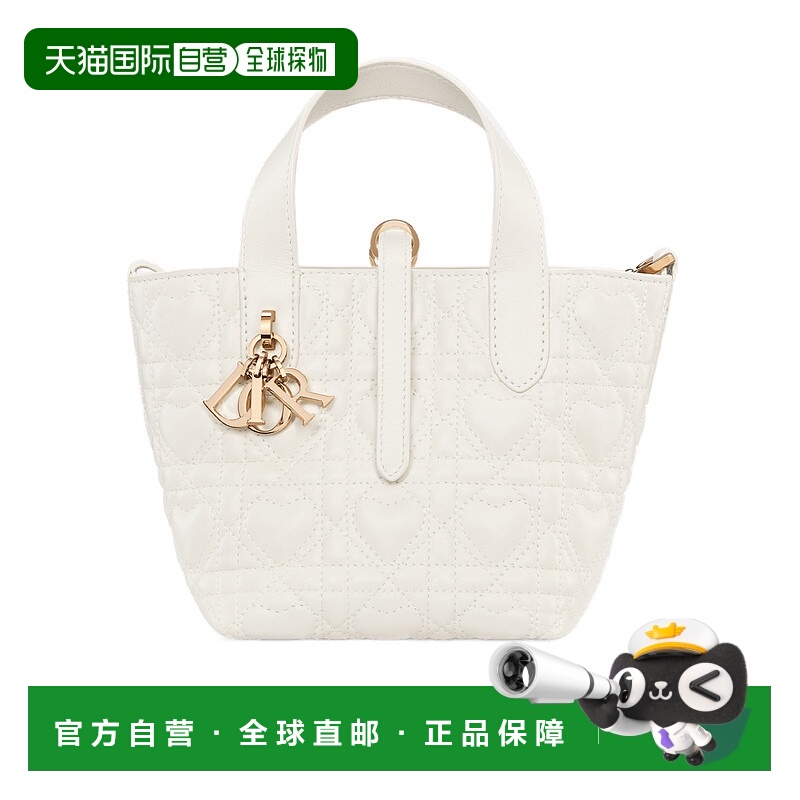 香港直邮Dior 微型 Dior Toujours 竖版手提包 S6100OMXD