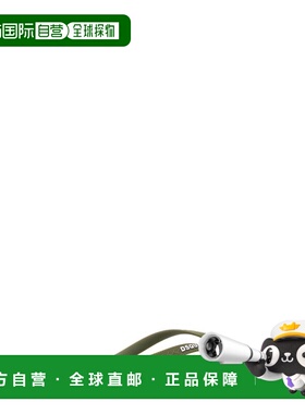 1h可退 香港直邮Dsquared2 二次方 男士 绿色 Logo 人字拖 FFM000