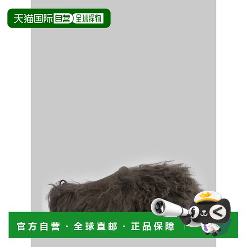 欧洲直邮UGG 女士拖鞋 1179371GREY AW2026 灰色 【付后1h可退】