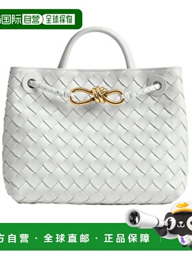 香港直邮Bottega Veneta 小号Andiamo单肩包 766014VCPP1