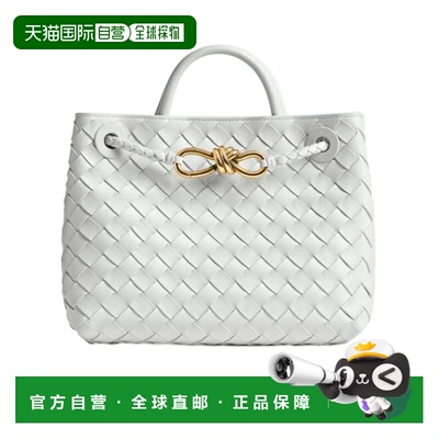 香港直邮Bottega Veneta 小号Andiamo单肩包 766014VCPP1