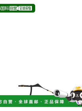 1h可退 香港直邮Saint Laurent CASSANDRA 平底凉鞋 841570AADF0