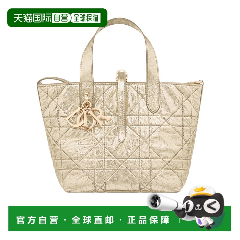香港直邮Dior 小号 Dior Toujours 垂直托特包 M2835OPWD迪奥