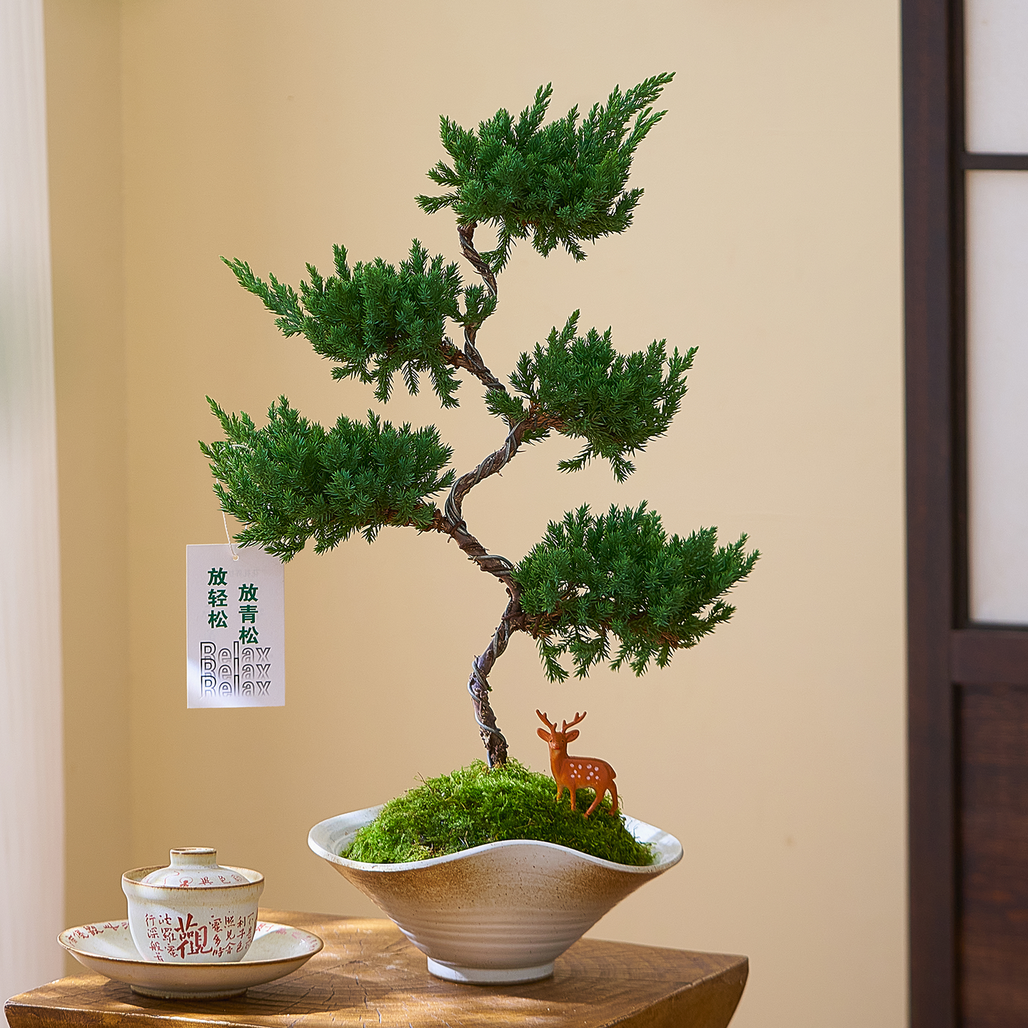 迎客松地柏盆栽茶室禅意好养盆景