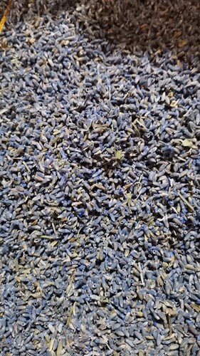 新疆伊犁薰衣草干花香包助眠安神1000g包邮