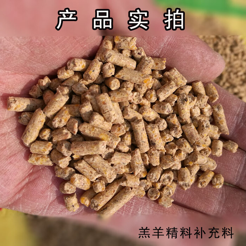 羔羊开口料 羔羊饲料 羔羊精补料 拉架子饲料 牛羊爱吃 厂家直销