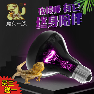 爬宠饲养箱箱陆龟蜥蜴蛇刺猬守宫箱夜间加温加热灯保温灯夜灯
