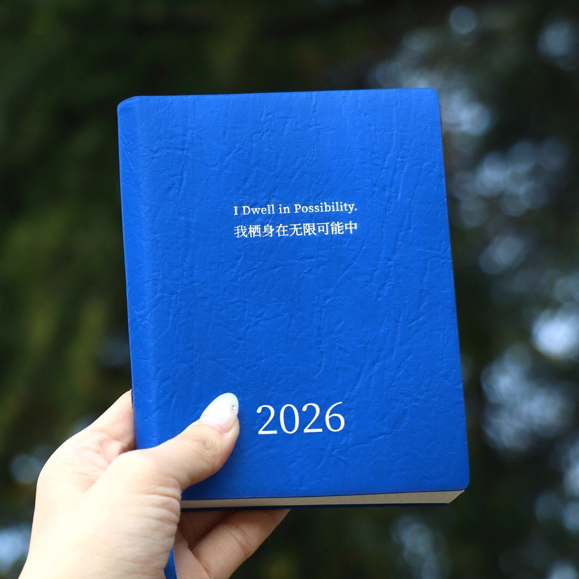 PoemsForYou原创2026日程本手账本A6两日一页便携笔记本生日礼物图片
