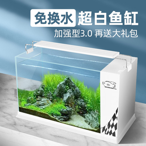 水草金鱼素材模板 水草金鱼图片下载 小麦优选