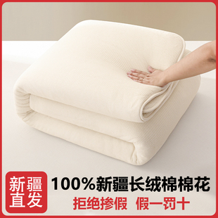 新疆棉花被芯纯棉幼儿园被芯婴儿童棉絮床垫被学生宿被褥子秋冬被