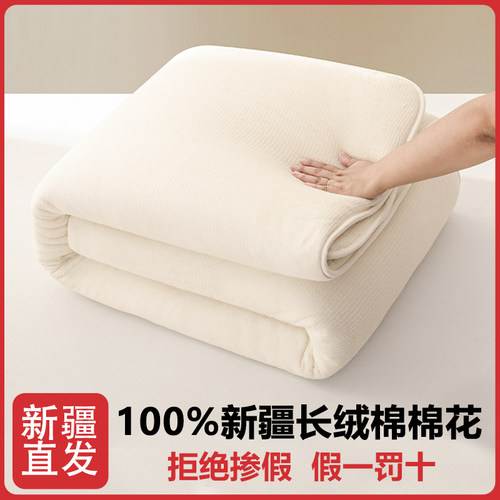 新疆棉花被芯褥子春秋冬长绒棉被