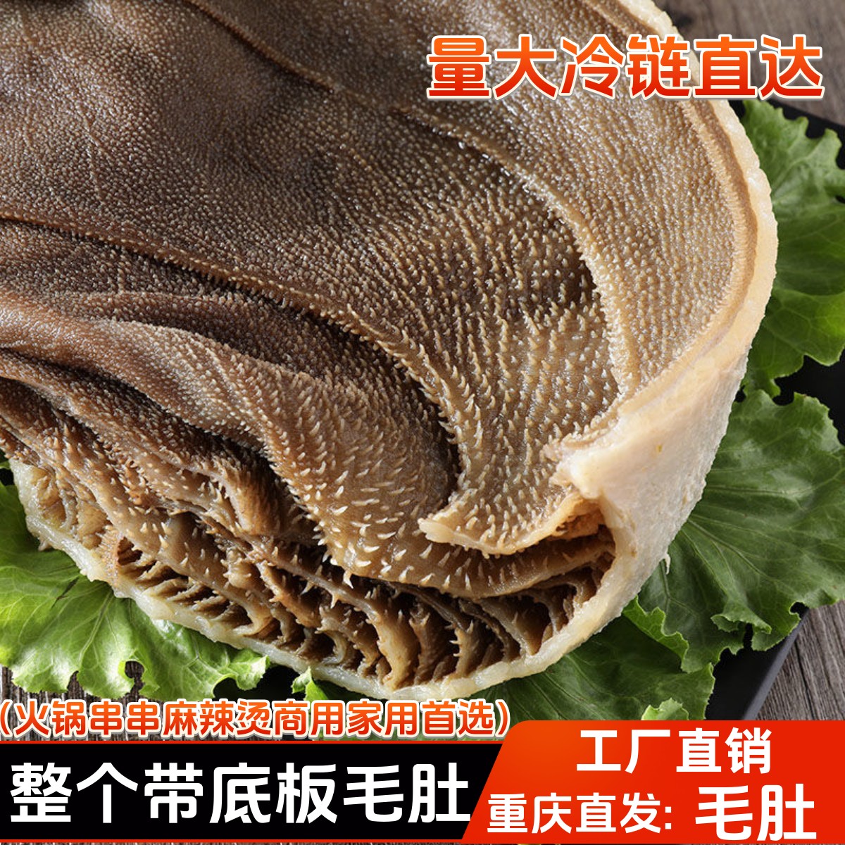 带底板毛肚5斤牛百叶整个千层肚