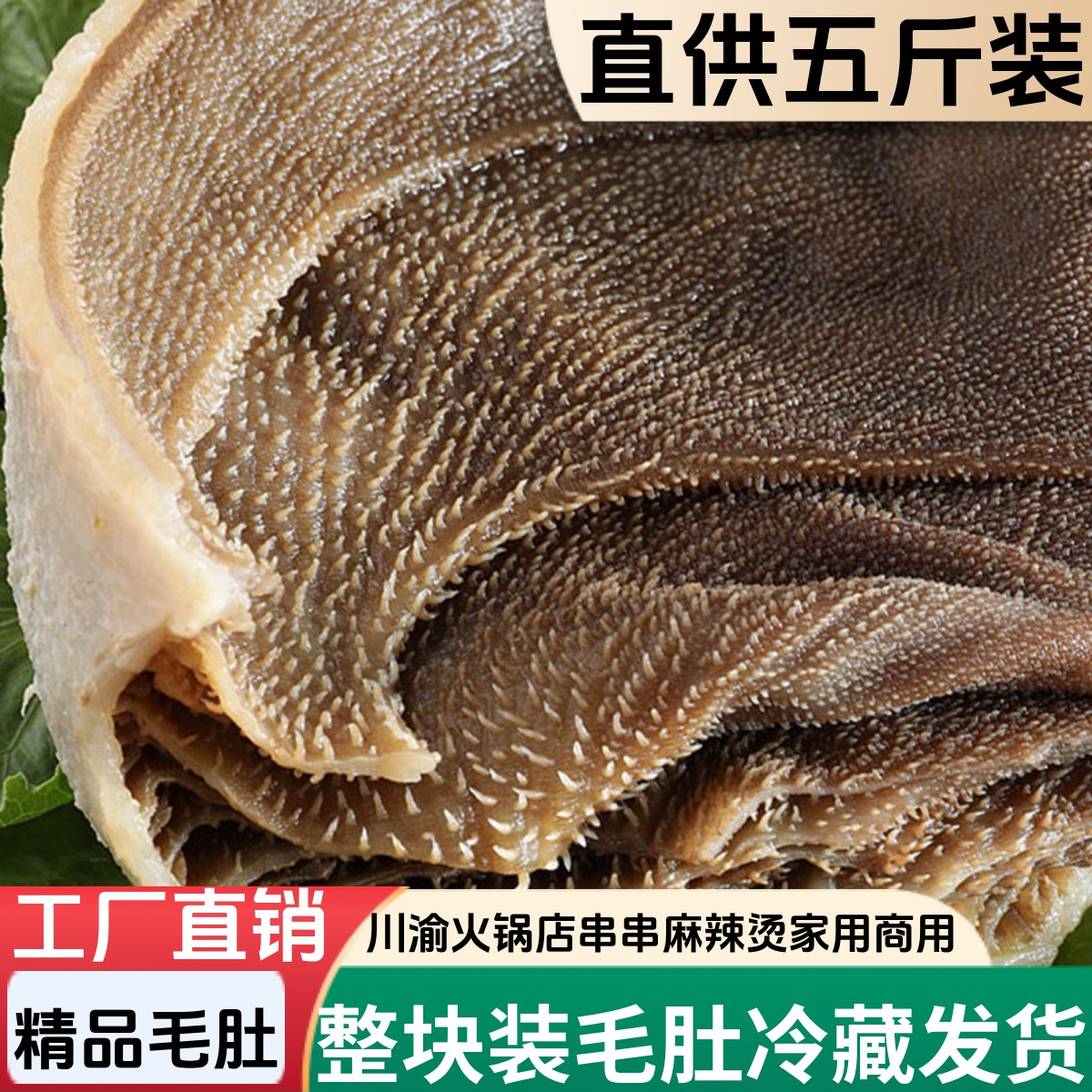 整块新鲜毛肚工厂直营脆爽鲜嫩