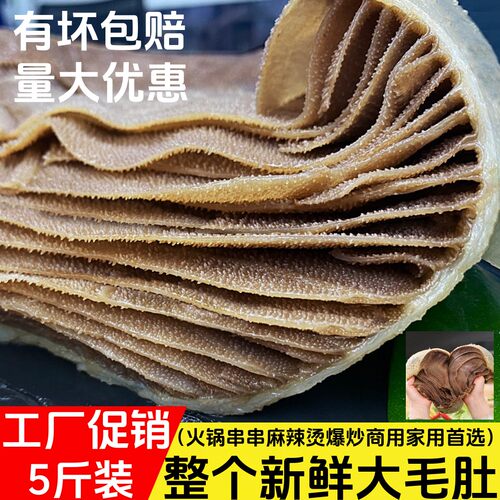 七秒新鲜火锅食材整块带底板毛肚