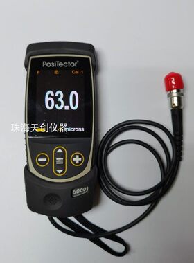 PosiTector 6000FNS1涂层测厚仪 defelsko膜厚仪6000FNS带线