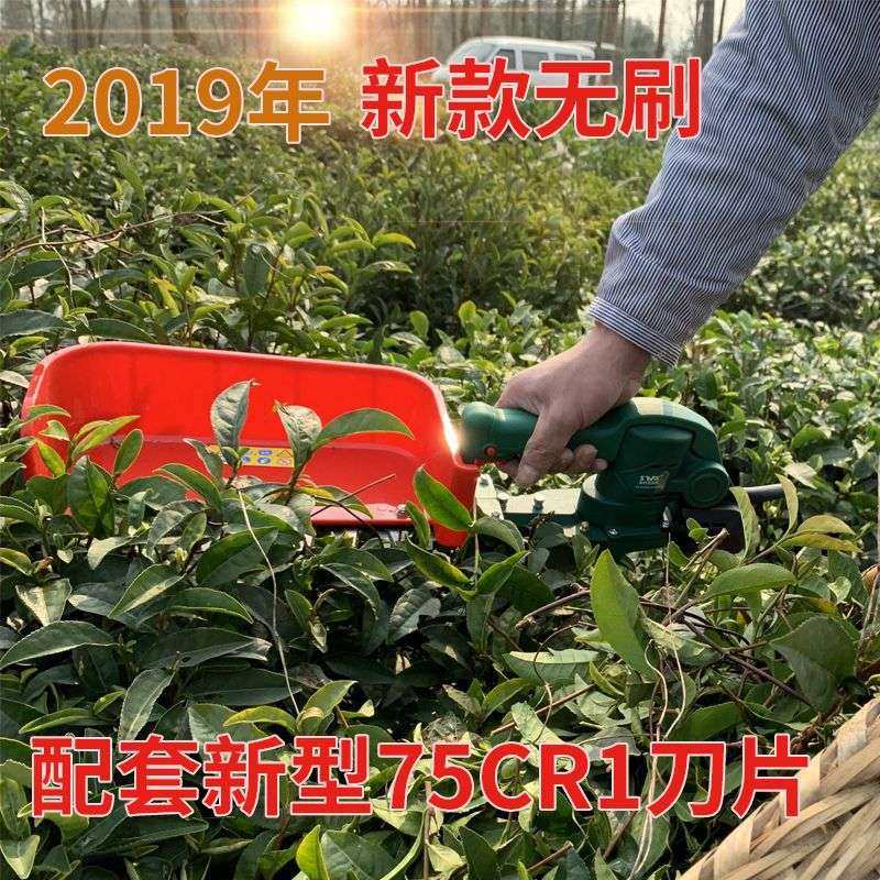 斯特克电动采茶机单人自动家用便携充电式绿篱机小型茶叶采摘机,农机/农具/农膜,割灌机/割草机/油锯,淘宝优惠券,粉丝福利购,淘宝优惠卷