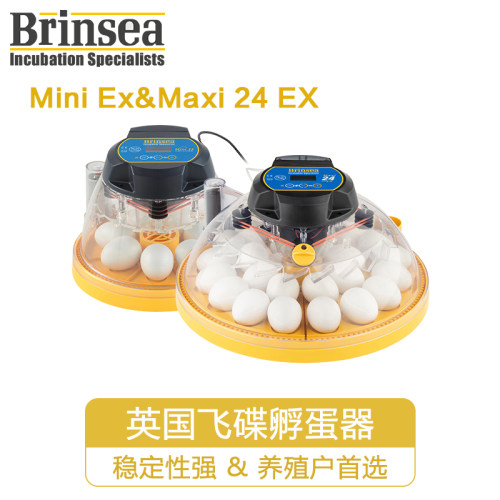 英国brinsea小飞碟鹦鹉孵化器