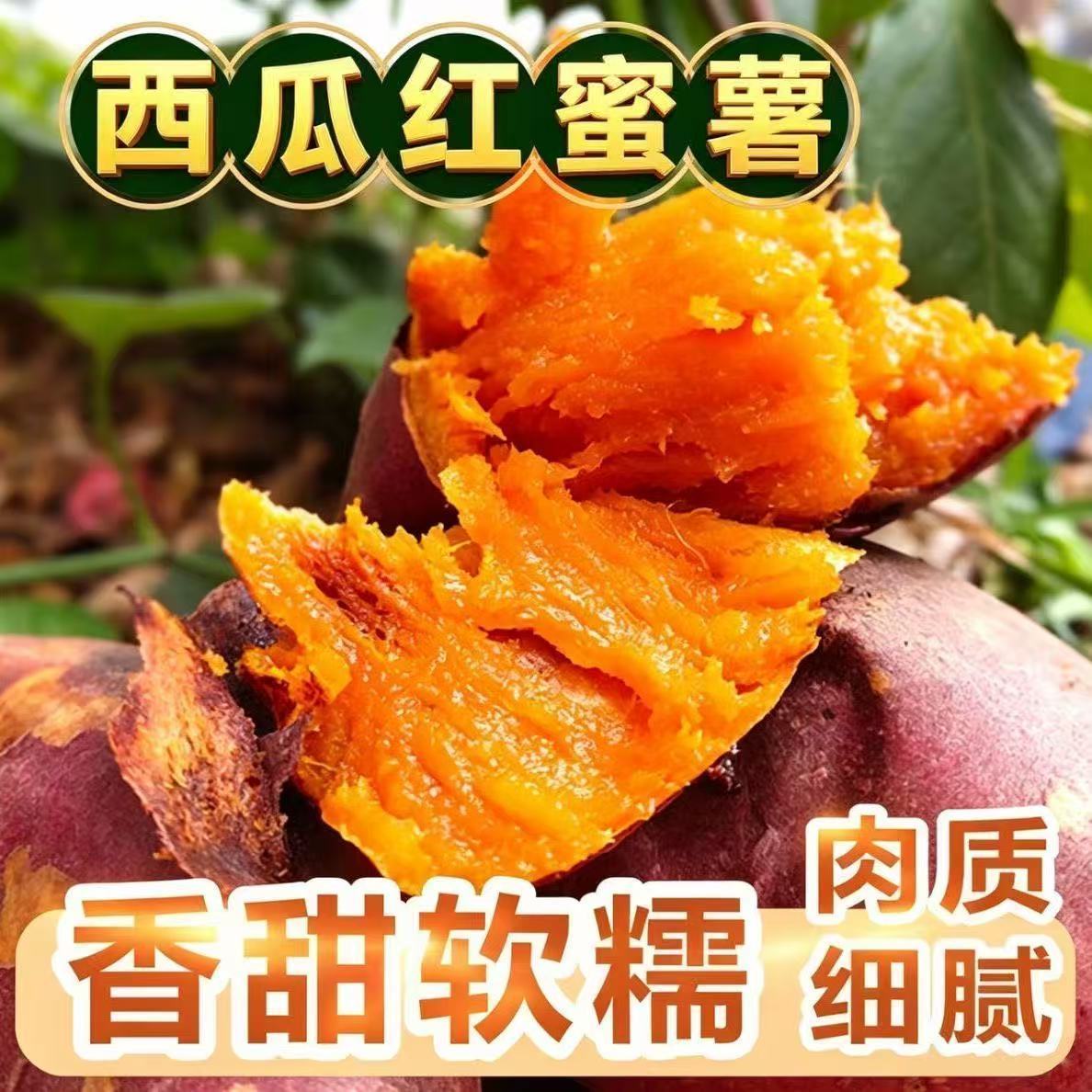 当季正宗新鲜西瓜红蜜薯糖心现挖