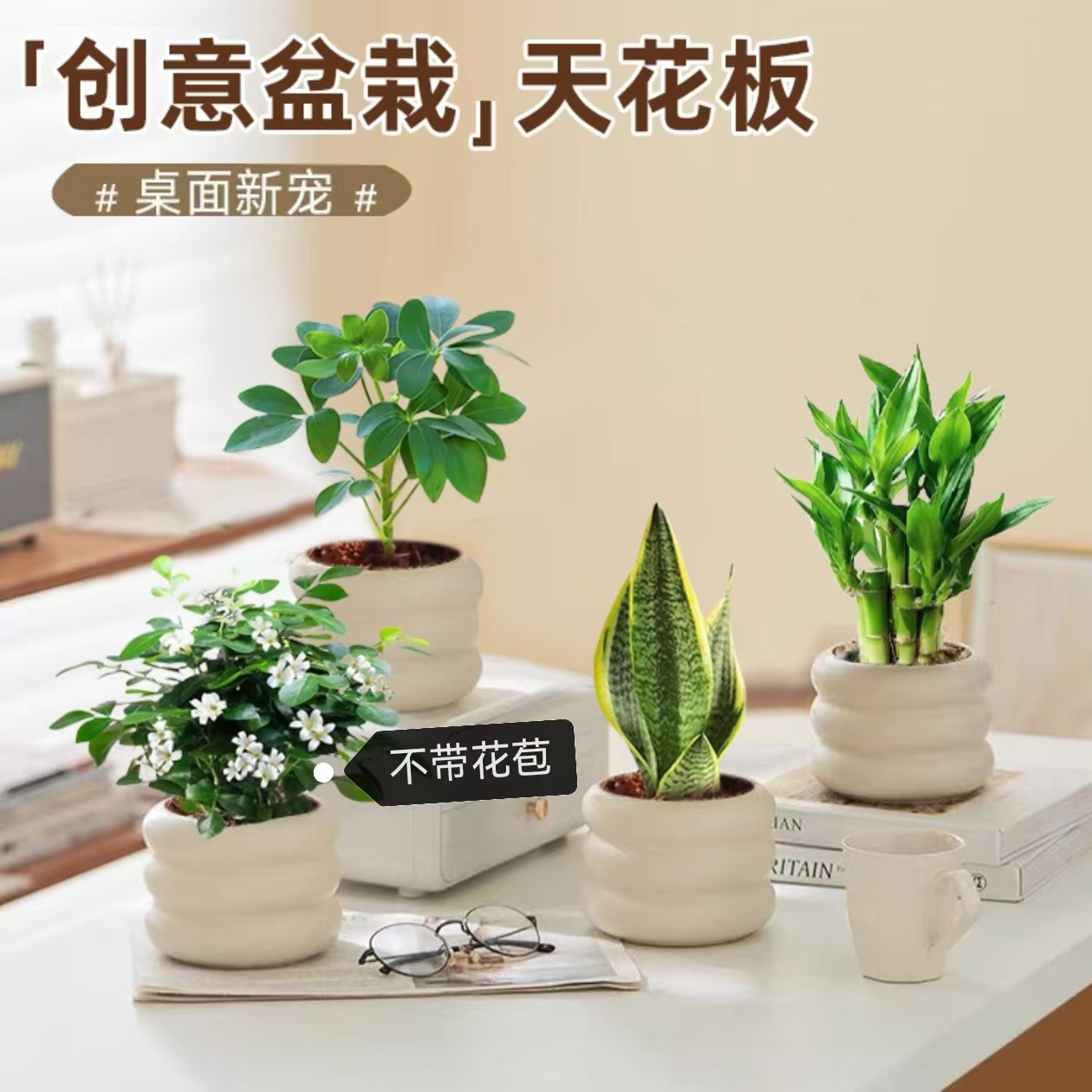 【拍一发四】发财树金钻吉利红富贵竹九里香盆栽花卉绿植桌面植物