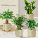 发财树金钻富贵竹九里香栀子花绿植盆栽桌面绿植 四件套组合