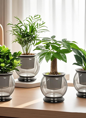 【水培绿植四件套】发财树九里香栀子花桌面植物小盆栽办公桌绿植