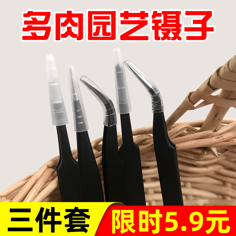 多肉园艺加厚镊子尖头弯头圆头不锈钢夹子种植工具镊子夹种多肉|ruв категории доставка цветов/цветок моделирования/растения садоводства, садовых принадлежностей, других садовых принадлежностей - от Buy2taobao.com для оказания профессиональной услуги покупки агента Taobao