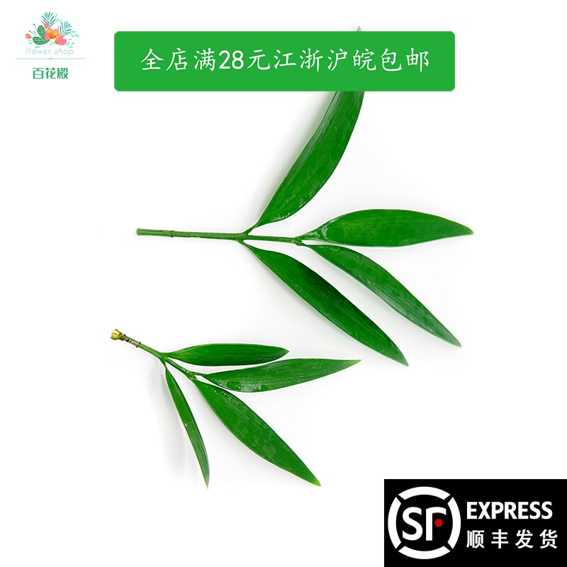 新鲜竹柏熊猫竹 姬竹冷菜 餐厅摆盘花草日料刺身冷盘创意装饰花草