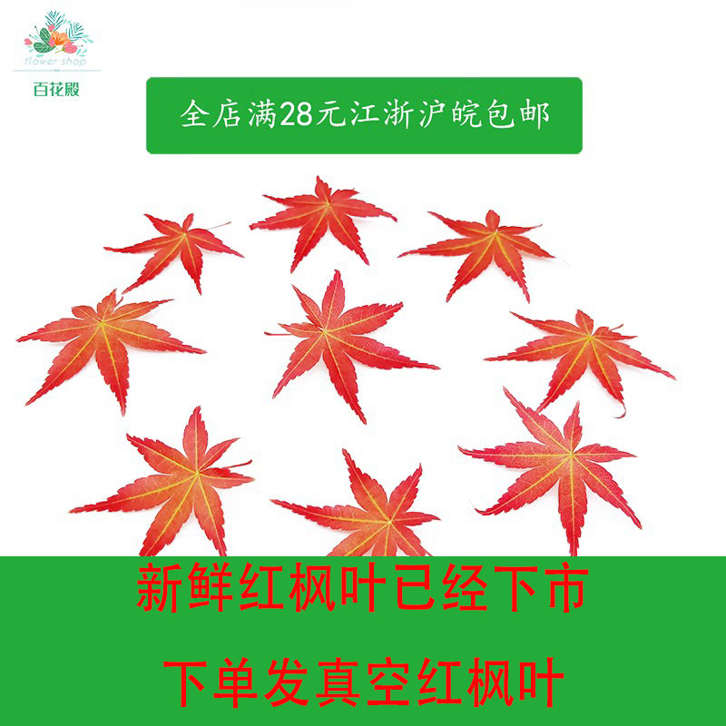 新鲜红枫叶 非绿枫叶30片酒店 西餐 日料料理摆盘装饰花草叶点缀,水产肉类/新鲜蔬果/熟食,其它,淘宝优惠券,粉丝福利购,淘宝优惠卷