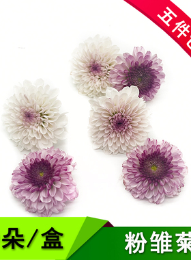 粉雏菊浅紫色新鲜粉丹特雏菊鲜花20朵小菊花西餐日料摆盘装饰花草