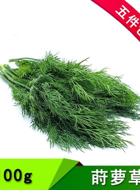 新鲜莳萝草dill洋茴香100g香草水产调味煎三文鱼西餐香料酒店食用