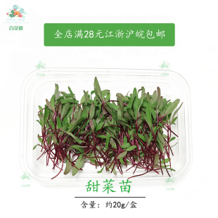 西餐摆盘装 食用芽苗菜 饰 新鲜蔬菜牛皮草食用花草 甜菜苗