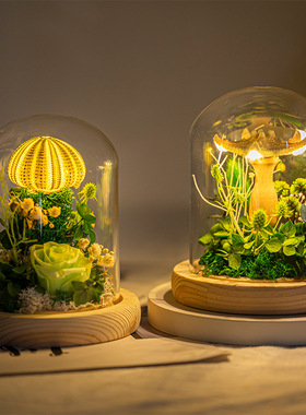 同款手工diy发光海胆壳水母灯生日礼物氛围高级感小夜灯ins风