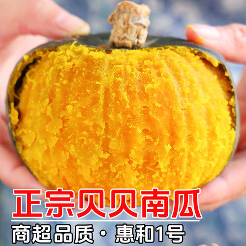 【官方推荐】贝贝南瓜|现摘|美味