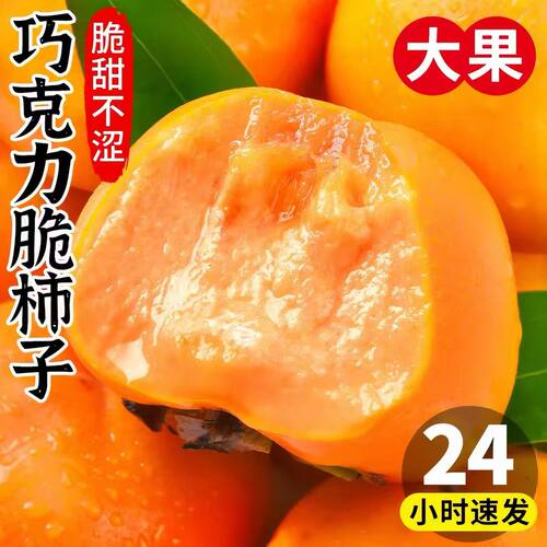 正宗巧克力脆柿子9斤新鲜水果当季整箱黄硬大果甜柿火晶柿冰糖心