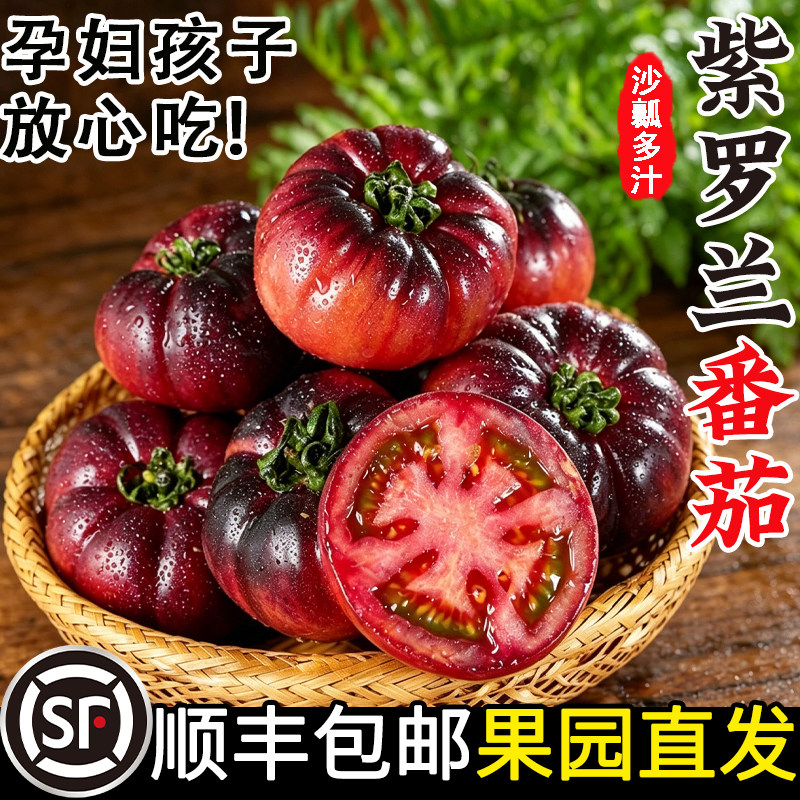 顺丰山东寿光紫罗兰番茄紫元帅特色西红柿现摘新鲜大番茄沙瓤口感