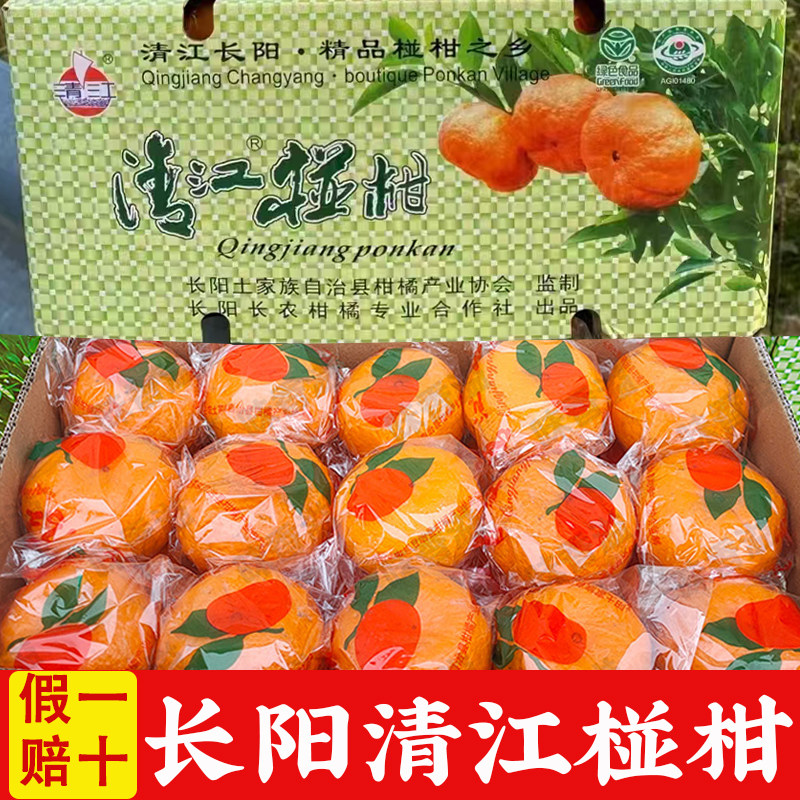 长阳清江正宗椪柑春椪岩松坪现摘芦柑新鲜桔子当季孕妇水果整箱,水产肉类/新鲜蔬果/熟食,桔子,淘宝优惠券,粉丝福利购,淘宝优惠卷