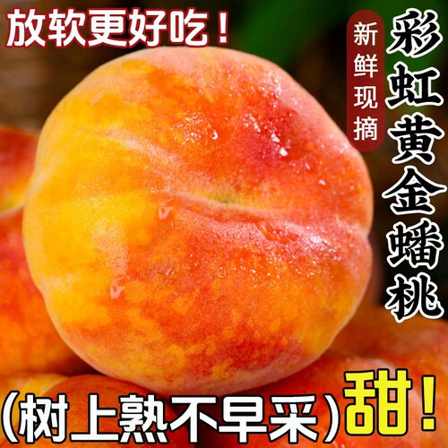 正宗彩虹黄金蟠桃【官方推荐】