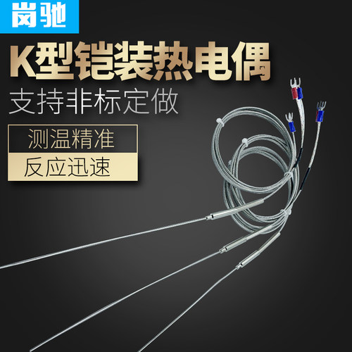 K型WRNK-191铠装热电偶/E型J型热电偶/探针热电偶/温度传感器