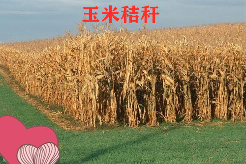 玉米秸秆
