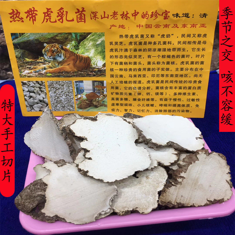 马来西亚野生正品 虎乳菌 250克 特大片天然虎奶菌灵芝小儿咳不愈