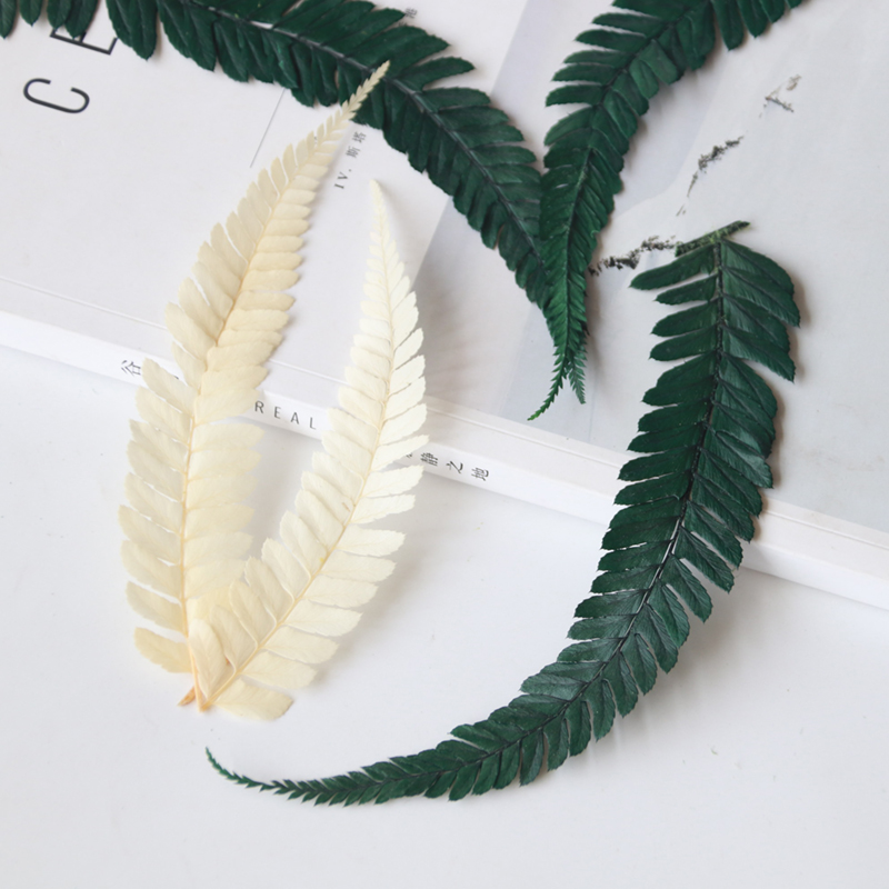 diy永生龙须草手作配材克装厥叶