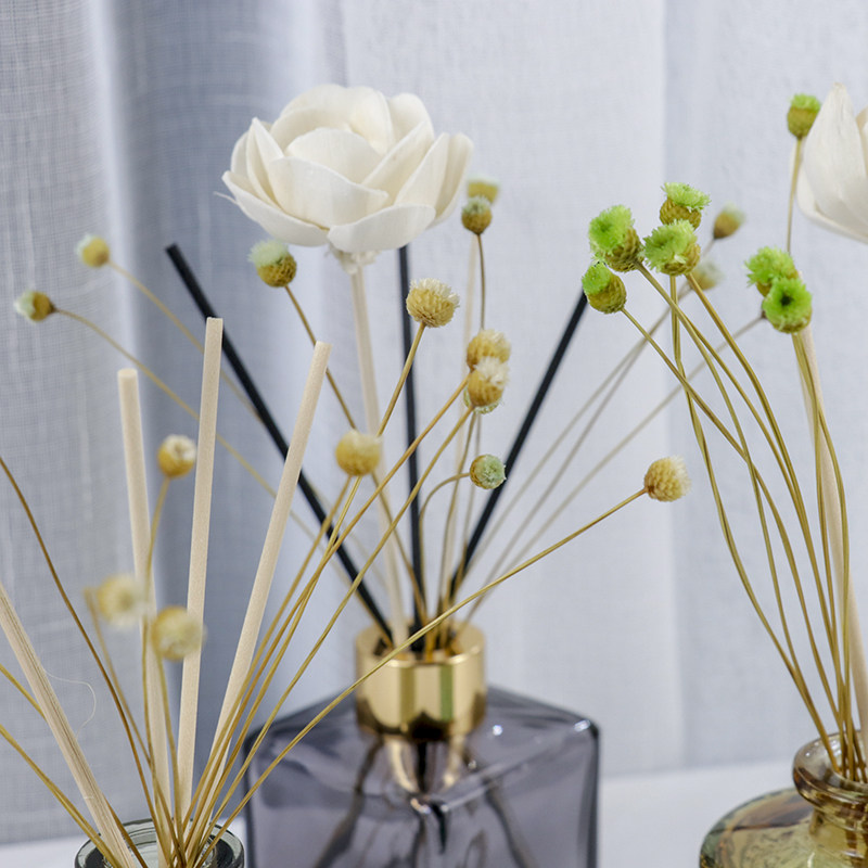 美沐儿 diy无火香薰扩香瓶插花装饰迷你型巴西快乐花干花风干真花